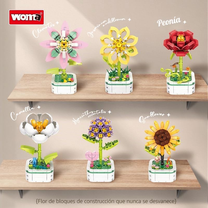 WOMA 19069 Racimos de Flores en Maceta (172/119/130/122 Piezas), 6 Plantas en Maceta Diferentes, Regalo de decoración para el hogar