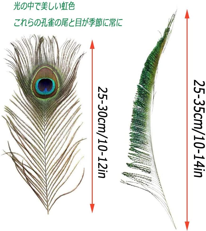 Amazon | 孔雀の羽 40本セット 天然 羽根 目玉羽 装飾用の羽根