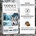 Wolf of Wilderness Adult Blue River, reich an Omega 3 Fettsäuren, enthält 61% reines Fleisch, niedriger Kohlenhydratgehalt – Lachs (2 x 12 kg)