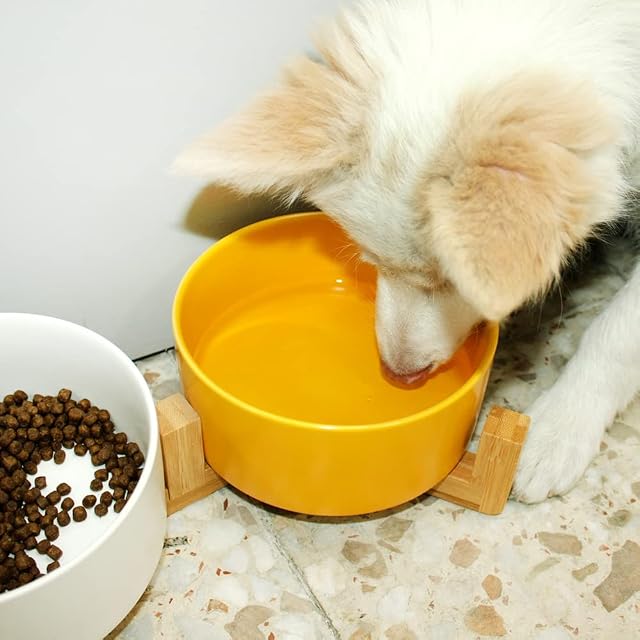 Foto 6 de 8 de 2PCS Comedero y Bebedero para Perros elevados Cuencos para Mascotas cerámica Pequeño y Grande Color Aleatorio…