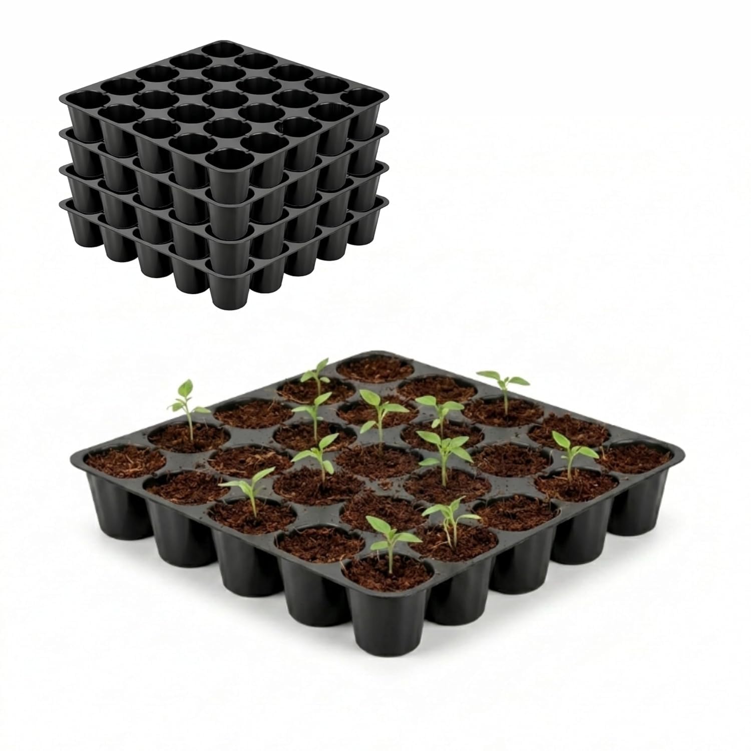 SJ Organics Seedling Tray for Plants - Pack of 10 (25 Cells Each) | Reusable Germination Tray with Drainage Holes | Plastic Nursery Tray for Seed Starting & Indoor Gardening-picture-16
