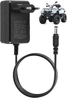 6V 0.8A Chargeur pour Véhicules pour Enfants, 6V Chargeur pour Conduite électrique sur Jouets Compatible avec Voiture Jouet électrique, Moto, SUV et ATV Ride-Ons Accessoires