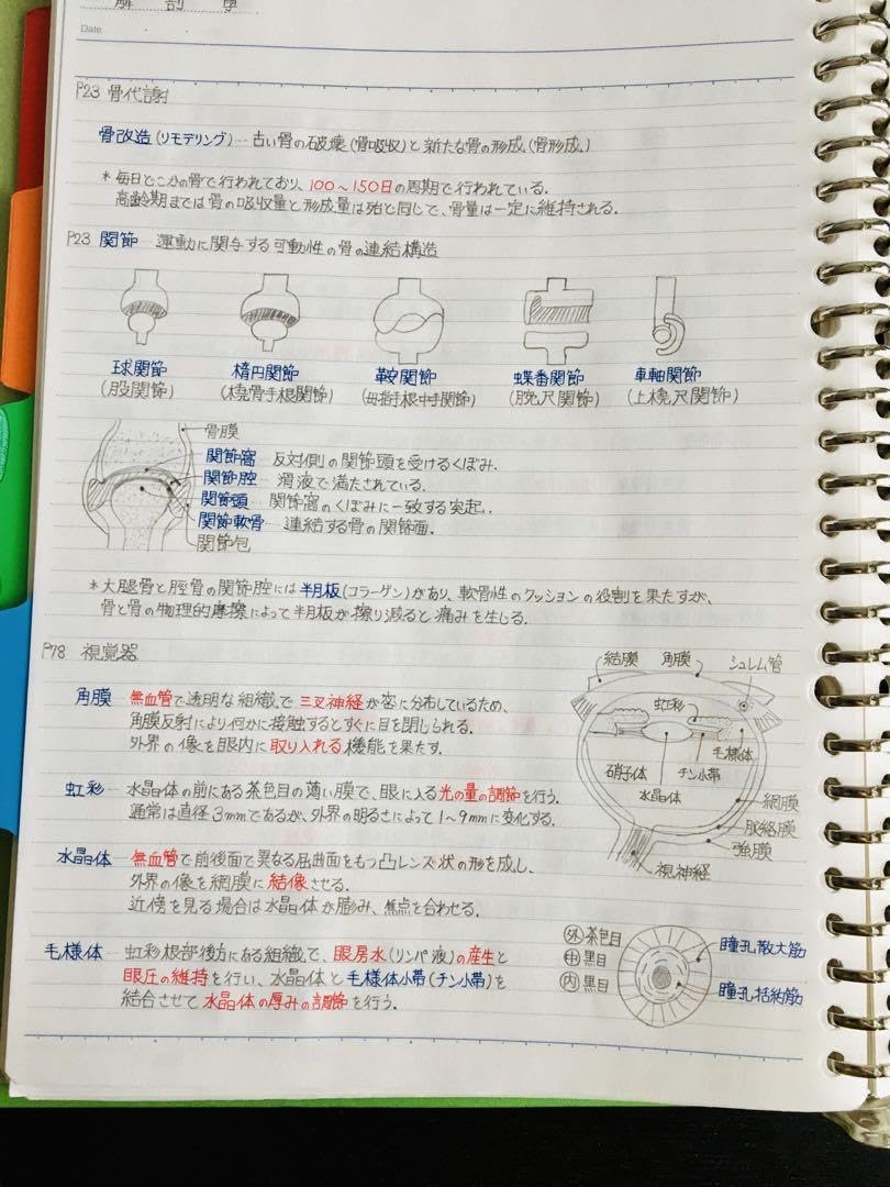 医療系学科定期試験、国家試験対策まとめノート【生物系セット】 医療系学科定期試験 国家試験対策シリーズ【基礎生物】まとめ