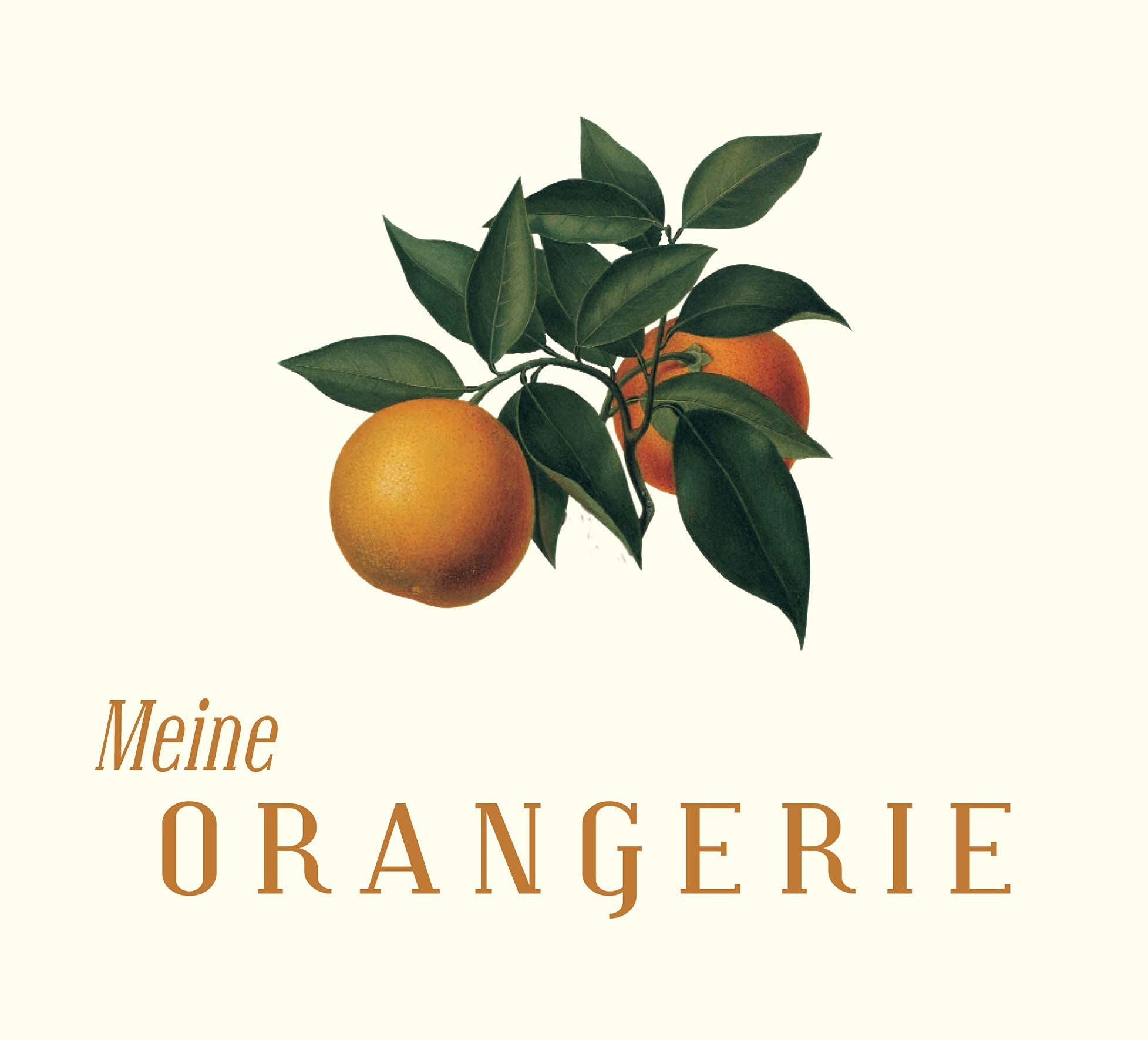 Meine Orangerie - Lampe LED pour l'hivernage des plantes méditerranéennes - Développée avec des experts en agrumes. Lumière à spectre complet pour plantes (50)