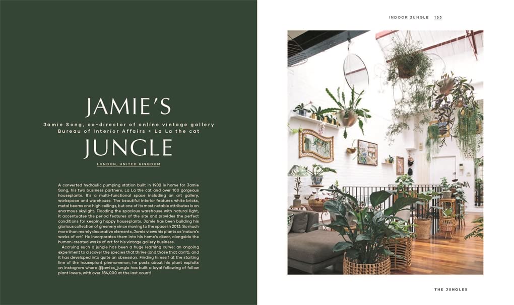 The Leaf Supply Guide to Creating Your Indoor Jungle