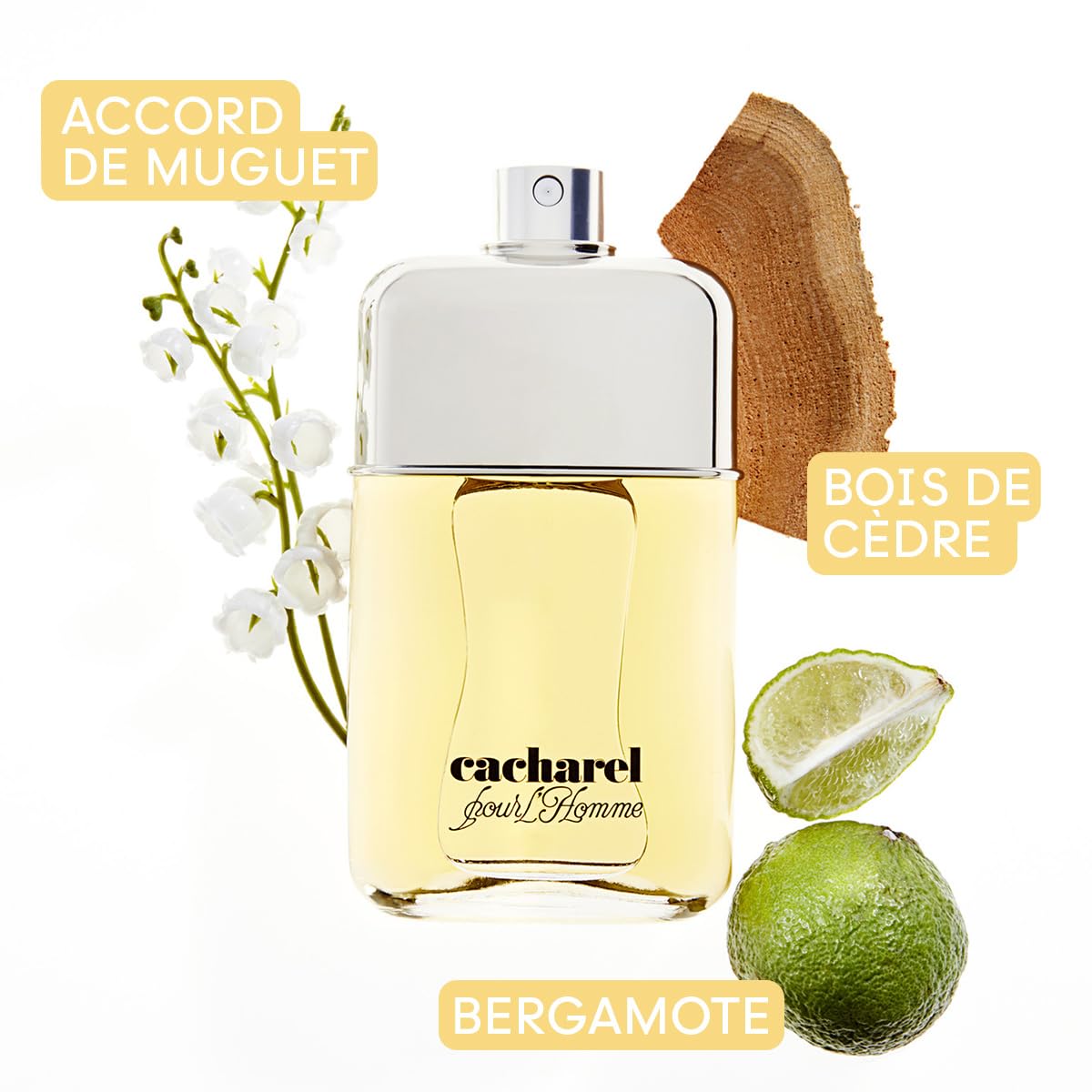 Cacharel - Pour l'Homme - Eau de Toilette - Parfum Masculin pour l'homme Libre, Aventureux et Mystérieux - Fragrance Boisée et Épicée - Parfum de Luxe pour Homme - 100 ml