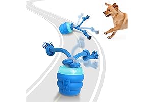 Interactive Dog Toys with Motion Activated