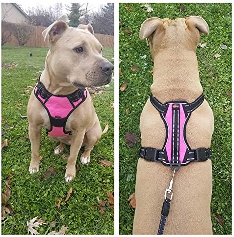 Dog Harness No Pull Dog Vest with Leash Adjustable & Reflective Pet Vest Harnesses and Leash Easy Control for Small Medium Large Dogs (Small, Pink)