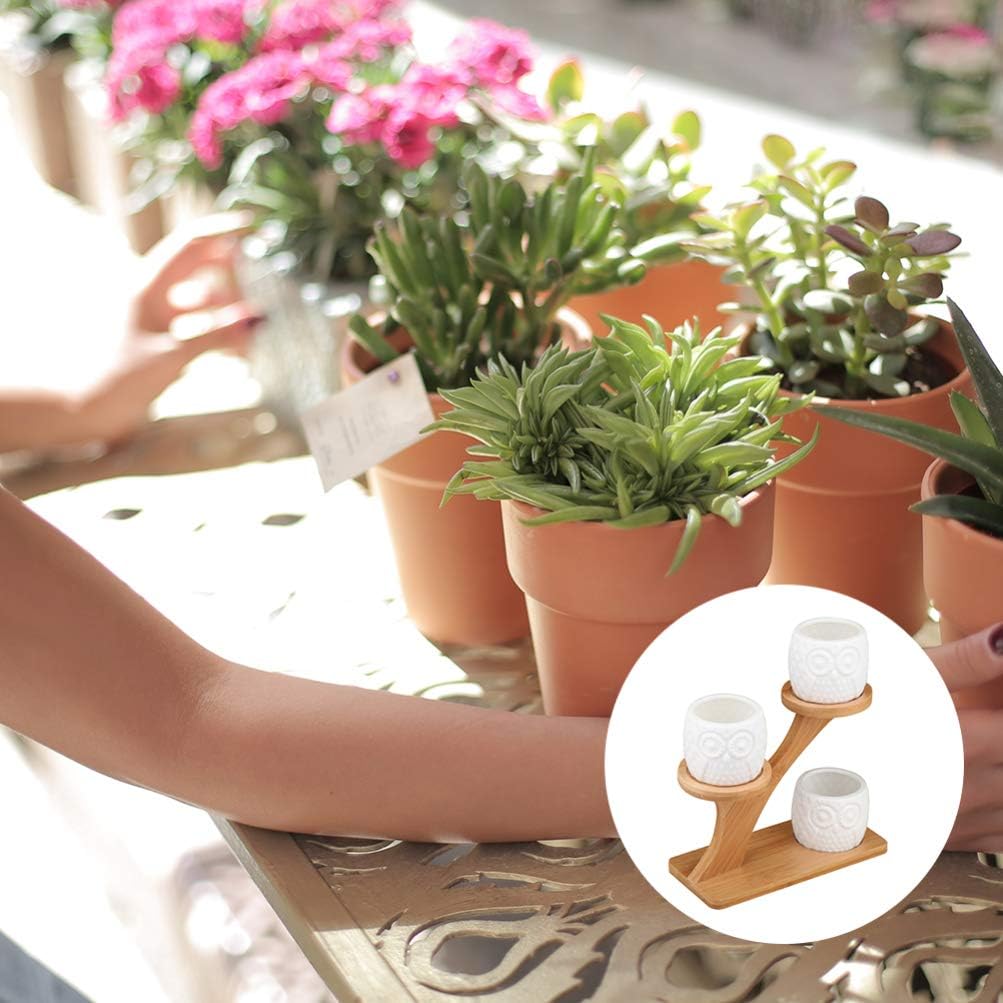 Angoily Ceramic Succulent Planter Pot with Wood Rack Small Planting Pot Planter for Garden Balcony Patio Home Desktop
