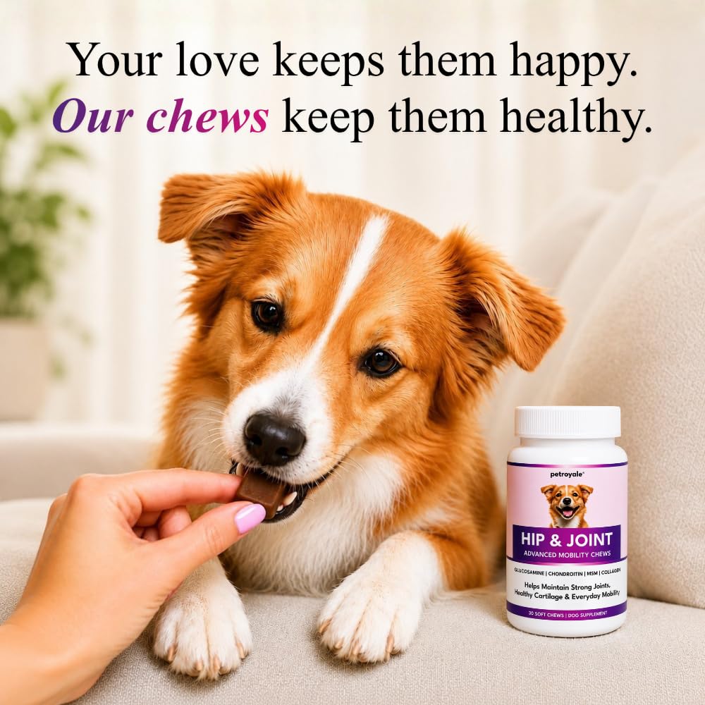 Petroyale Hip & Joint Advanced Mobility Soft Chews for Dogs | Glucosamine, Chondroitin, MSM, Collagen, Hyaluronic Acid, Boswellia & Devil's Claw | Joint Support Supplement | 30 Chews — Amazon image 7