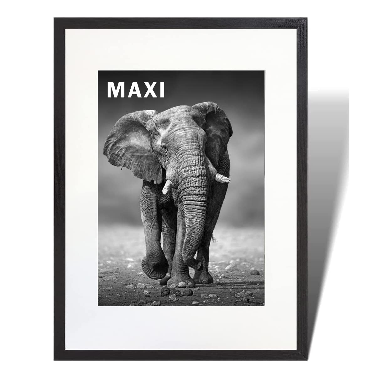 Mnd Dealings Black Mnd Dealings® Large Maxi Poster Frame 61 X 91.5 Cm With White Mount Mdf Wood Frame To Hold Pictures/Posters Plexi Glass Portrait Landscape 24''X 36' (Black)