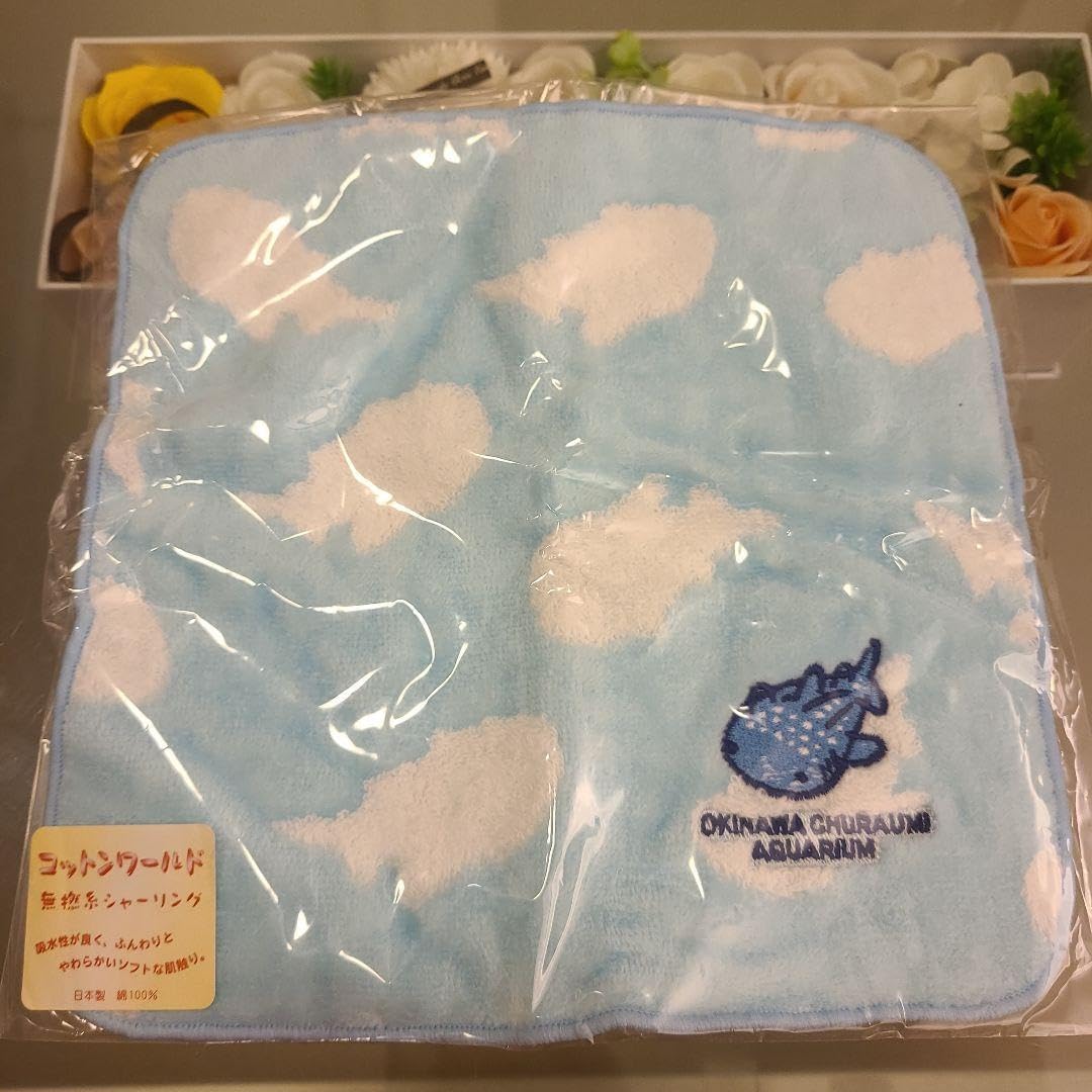 Amazon.co.jp: 沖縄 美ら海水族館 公式グッズ ジンベイザメ