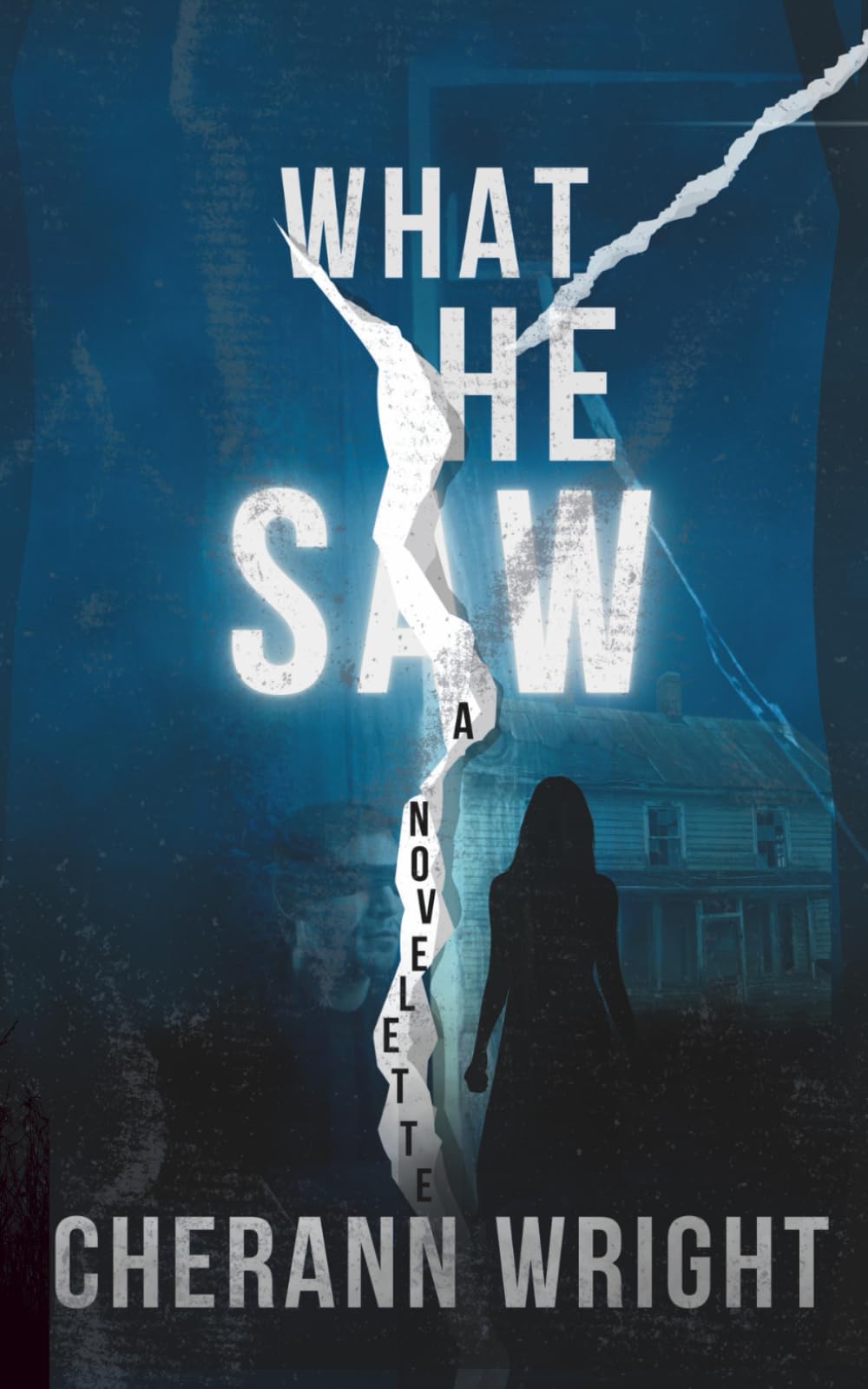 What He Saw: A Gripping Psychological Thriller Novelette