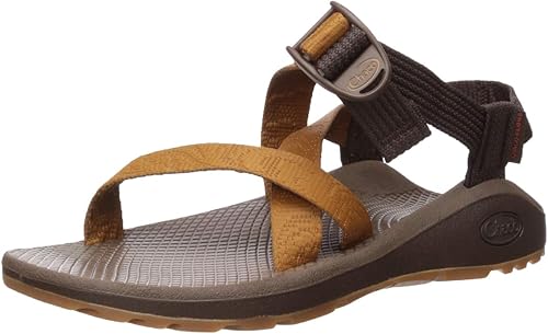 Amazon チャコ ストラップサンダル アウトドアサンダル 足裏学会 ウィメンズ Zクラウド 30th Cognac 22 0 22 5 Cm Chaco チャコ ファッションサンダル