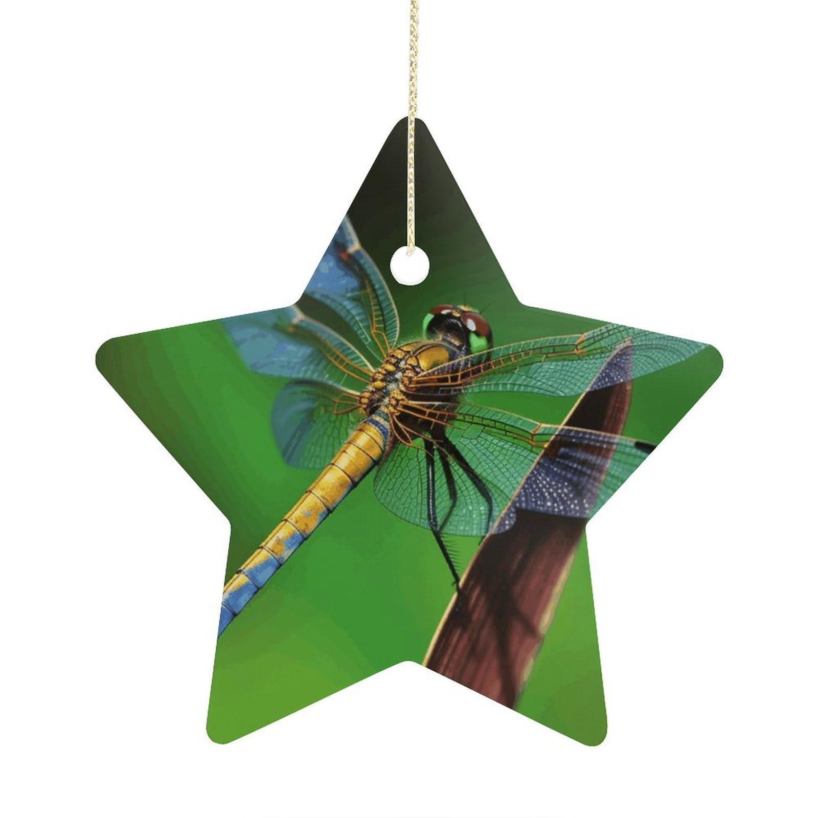Fodpand Women's Style Dragonfly Ornament With String, Keepsake Hanging Decorations,Ceramic Ornaments For Men Indoor Home Holiday Party Gifts