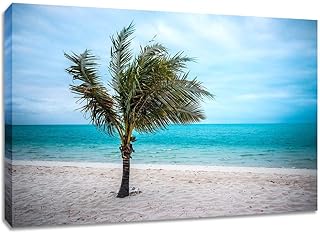 Palm Tree Caribbean Large Canvas Wall Art. Long Beach In Turks And Caicos Photography Print.