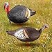 Poen 2 Pcs Collapsible Turkey Decoys for Hunting Lookout Standing Lifelike Lightweight Realistic Hunting Turkey Decoy Hen with Stake for Field, Forest, Wood, Ground, Outdoor, 13.4 x 5.5 x 6.7 Inches