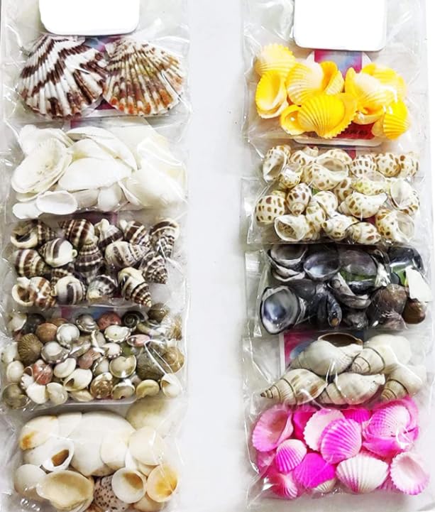 Decorative Sea Shells Assorted Mix Pack for DIY Crafts, Home Decor, Aquarium Decoration & Art Projects | Multi-Color Shell Collection Set for Kids & Adults-picture-27