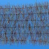 Ep Tarantula Hairy Legs Brush 0.5' Wide Sculpin