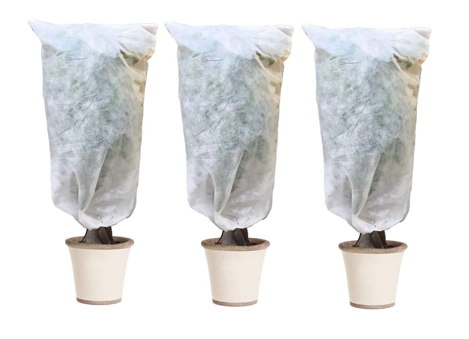 La Protecton Des Plantes Contre Le Gel Et Le Frod | Bac Pour Potager, Cultver Des Arbres