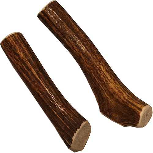Paquete individual completo mediano (para perros y cachorros de 20 a 45 libras) cuernos de alce de grado premium para perros (2 piezas) procedentes
