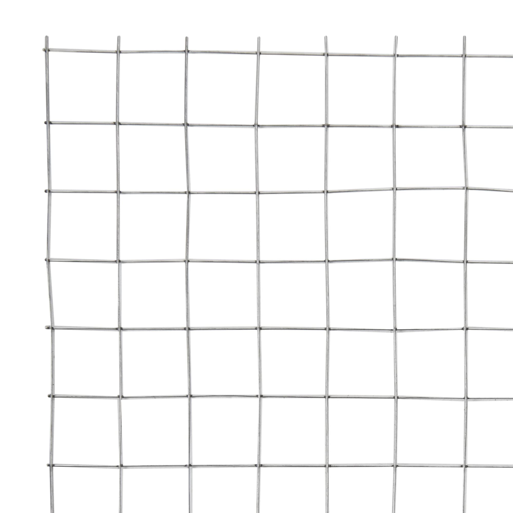 ECD Germany Rete Metallica per Recinzioni 25x25 mm 1 m x 25 m Spessore 0,9 mm Rete Zincata Elettrosaldata per Giardino Recinto Argento Rete Saldata per Recinzione Animali Rete per Voliera Rotolo