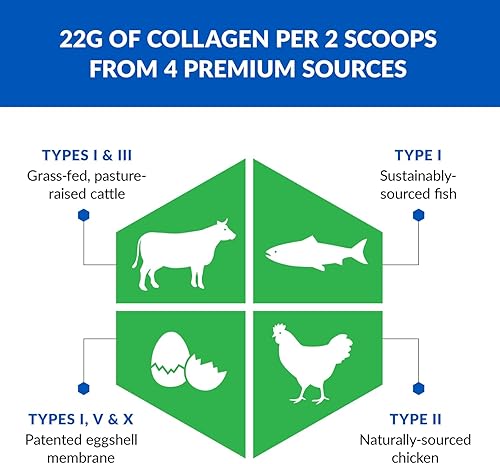Miniatura 3 de BioTrust Proteína de colágeno múltiple Ageless a polvo de colágeno 5 en 1, 5 tipos de colágeno, péptidos de colágeno hidrolizados, carne de res
