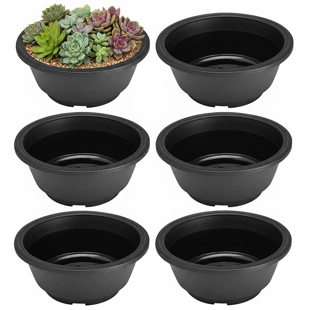 Housoutil Black Plastic Succulent Plant Pot, 6Pcs Plastic Flower Pots, Nursery Bonsai Planter With Hollow Bottom For Succulents Seedlings Cuttings Transplanting (Black)