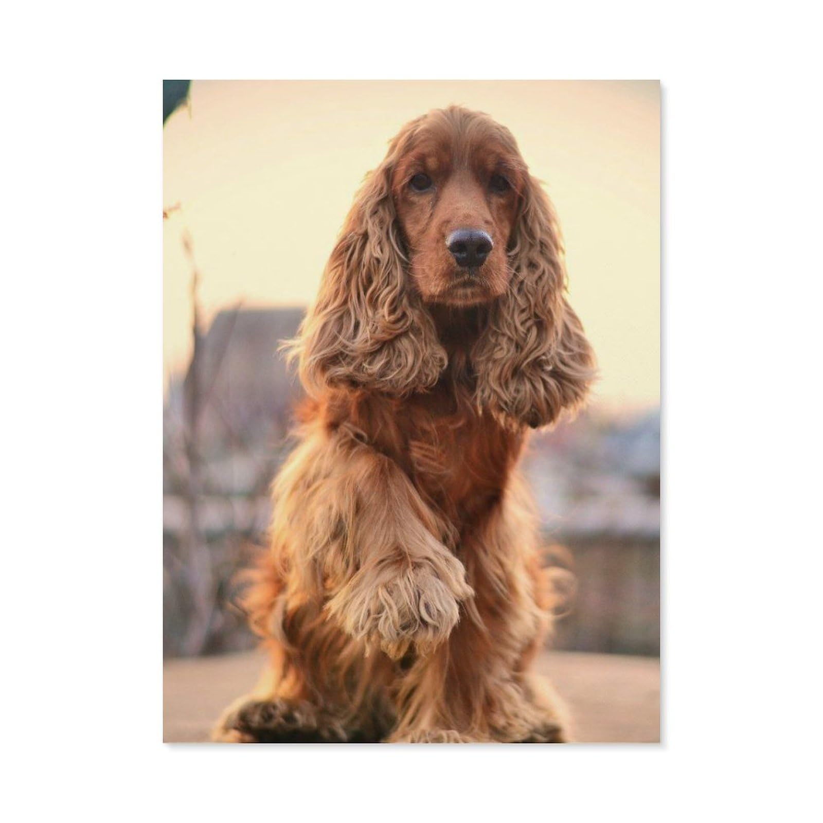 Paint by Numbers for Adults，English Cocker Spaniel，DIY Paint by Numbers Kits for Adults Kids on Canvas with Brushes and Acrylic Pigment Oil Painting Kits Home Decor Gift(50x60cm) 19.6x23.6 inches-B17