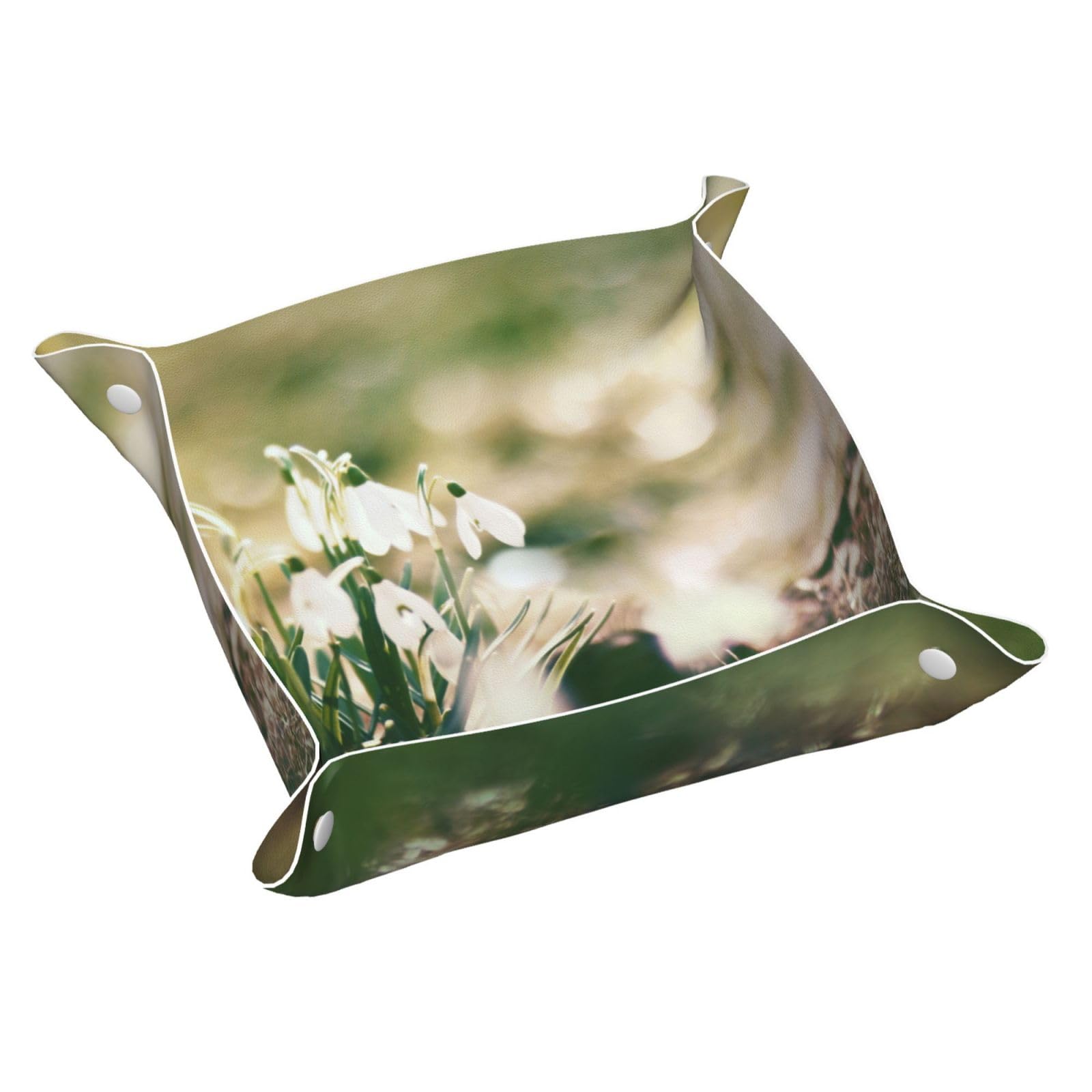 Inomak As Picture Wild Spring Snowdrop, Leather Storage Tray Jewellery Organiser Desktop Catchall Tray, Dresser Organizer Plate,M