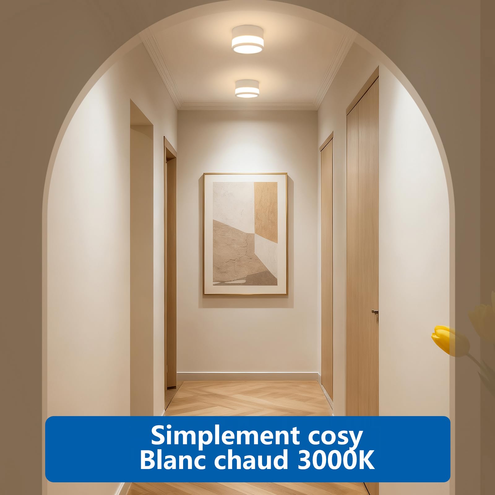 ZIZZLER 2 Spot Saillie Exterieur Salle de Bain IP44 Etanche, Plafonnier Spot Led Tube en Saillie Cylindre Couloir Entree, 12W Blanc Chaud Surface Mounted Luminaire Couloir Cuisine Ø10cm