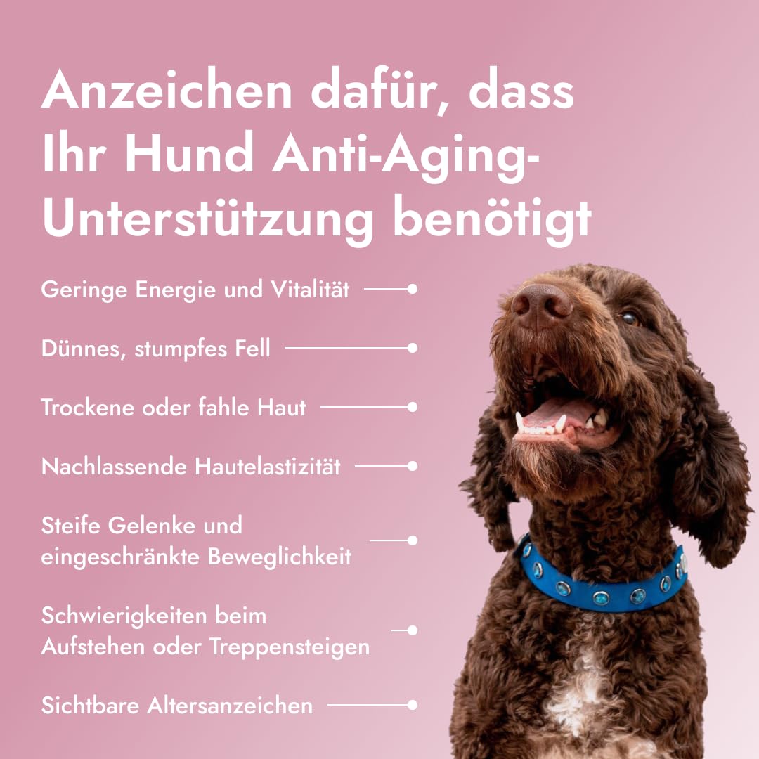 Pawse Aging Collagen – Natürliches Anti-Aging-Pulver für Hunde mit Dreifach-Kollagen, Vitaminen & Präbiotika – Für Haut, Fell, Gelenke, Verdauung & Immunsystem (3X 210 g)