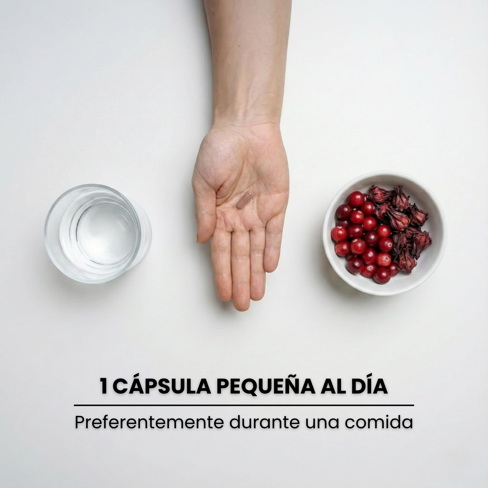 Arándano Rojo Americano Cranberry con Hibisco 125 mg de PAC Proantocianidinas - Tracto Urinario - 190 Cápsulas - Sin Aditivos +6 Meses | Uritractin Nutribiolite