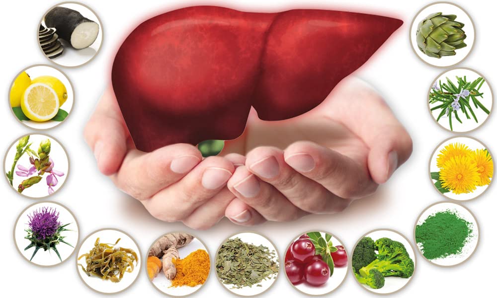 Hepaphenol - Verwaltet Den Cholesterinspiegel - Steuert Unsere Energie - Schützt Uns Vor Krankheiten - 1 packungen alle 1 MONATE