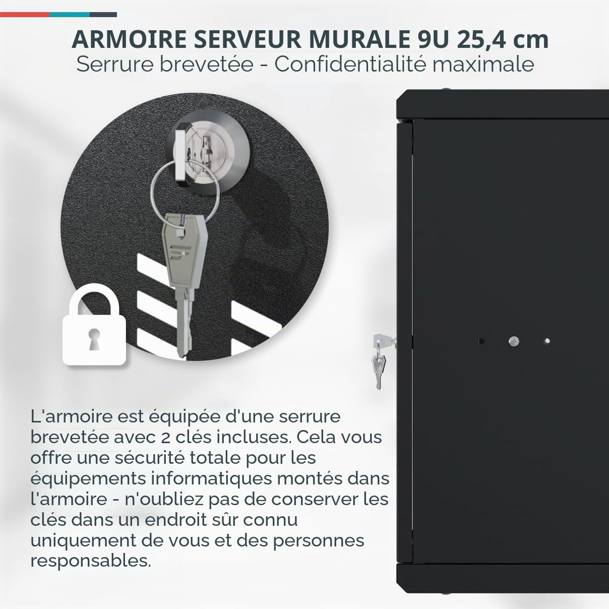 Armoire Réseau 10 Pouces - Baie Informatique 9U - Baie de Brassage pour Montage Mural - Capacité de Charge 20 kg - Armoire Informatique vers la Salle des Serveurs, Le Bureau - Noir