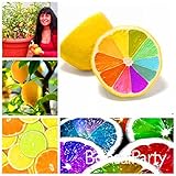Venta grande! 10 PC/porción, las semillas de limón arco iris raras semillas de árboles frutales de limón orgánica casa jardín de plantas coloridas frutas Bonsai, 9HML13