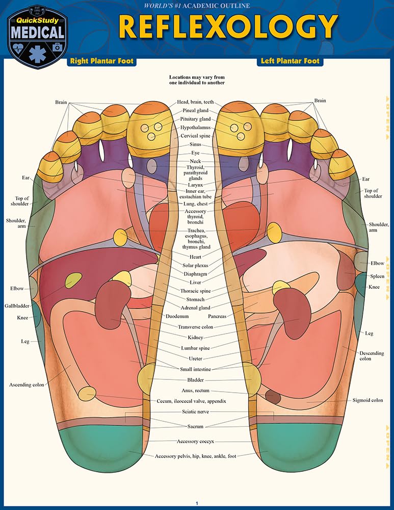Reflexology: A Quickstudy Laminated Reference Guide