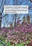 Derin &Atilde;grenme