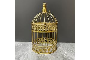 Gold Metal Bird Cage