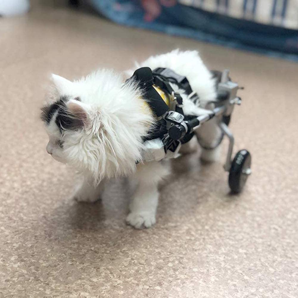 Genérico Silla De Ruedas Mascotas Aluminio Ligera Liberación Rápida | Soporte Para La Rehabilitación De Las Patas Traseras, Ayuda Para Caminar Para Perros Mayores
