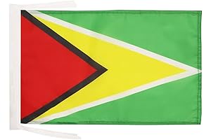 Guyana Flag Bandana - Small, 30 x 45cm or 18x12 Inches