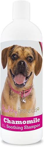Miniatura 213 de Healthy Breeds Doberman Pinscher Champú calmante para perros de manzanilla, 8 onzas