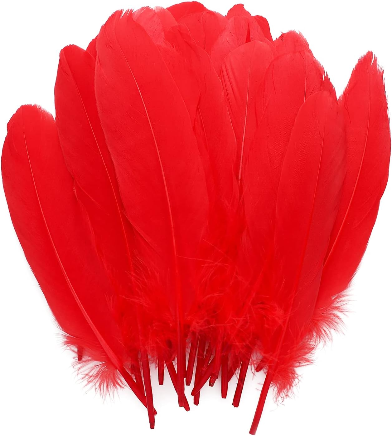 HaiMay 200 Pieces Red Feathers for Craft Wedding Home Party