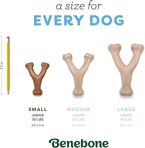 Vista 75 de Benebone - Paquete de 2 juguetes masticables duraderos para perros, diseño Wishbone/Dental, tocino real, fabricados en Estados Unidos, grandes