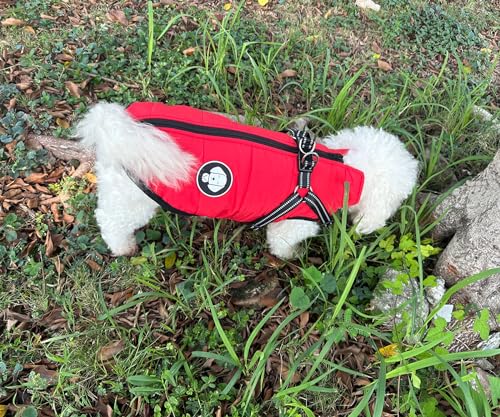 Hundejacke mit Geschirr, Wasserdichter Warmer Hund Wintermantel für Kleine Mittel Große Hunde, Hundemantel für Labrador Chihuahua Französische Bulldogge