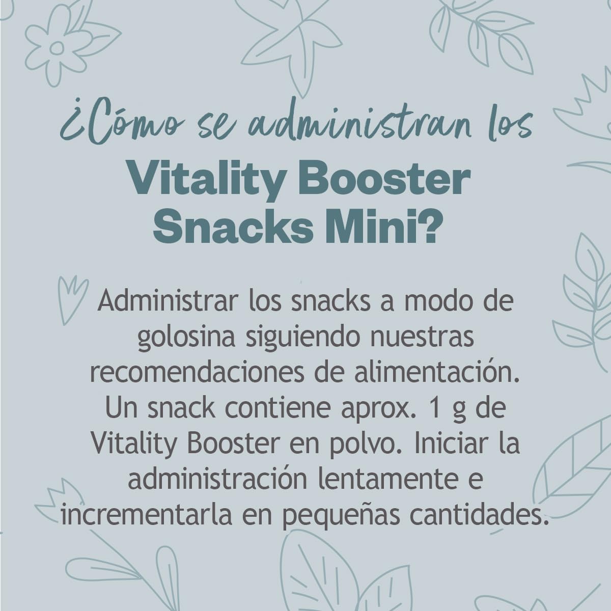 GRAU - El Original - Hokamix Vitality Booster Snack Maxi, Pack Individual (1 x 4,5 kg), alimento complementario para Perros