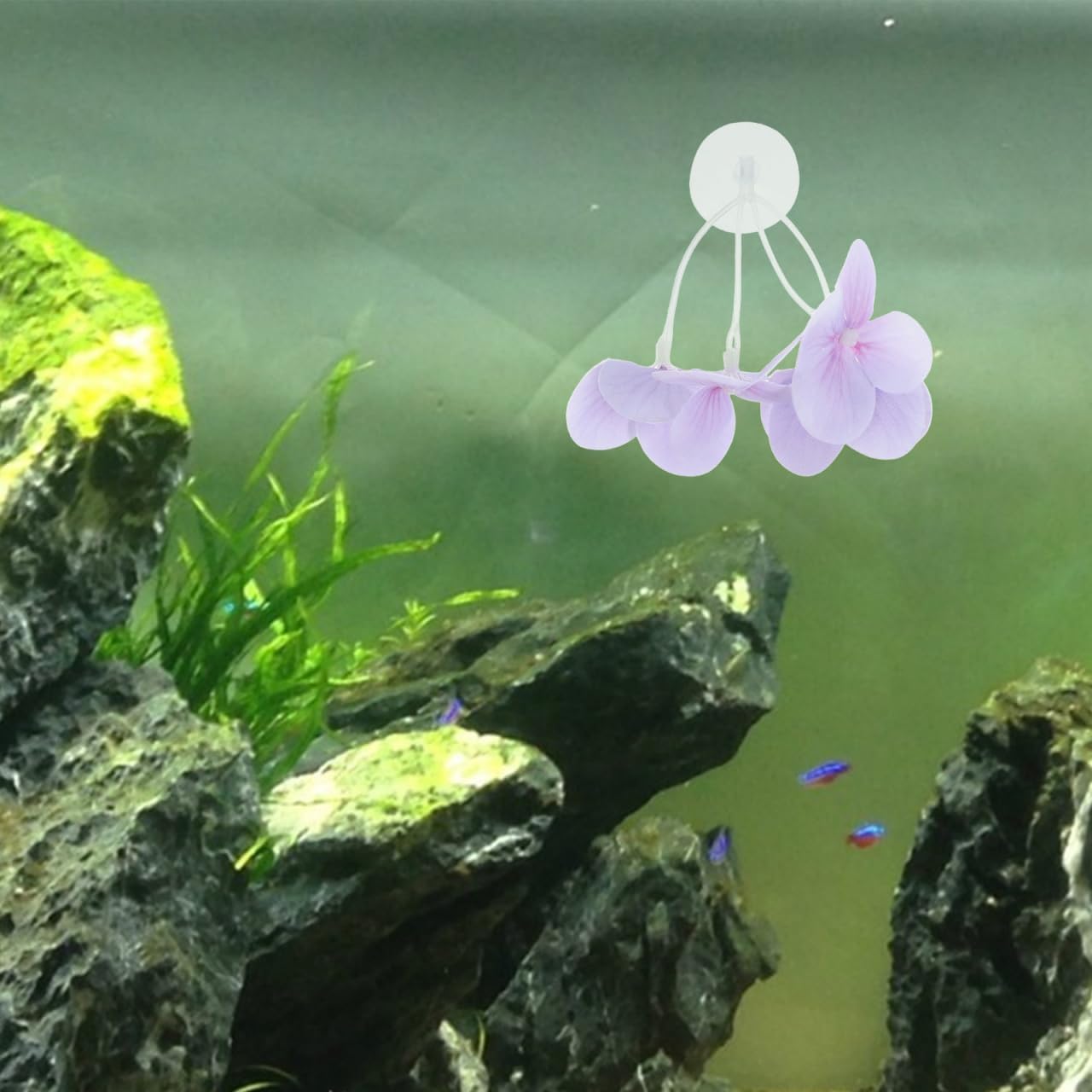 Kisangel Realistic Aquarium Plastic Plants 3.34X2.95X2.75In Artificial Pond Plants Fish Tank Decorations for Betta Fish Tank Accessories Easy to Clean Durable