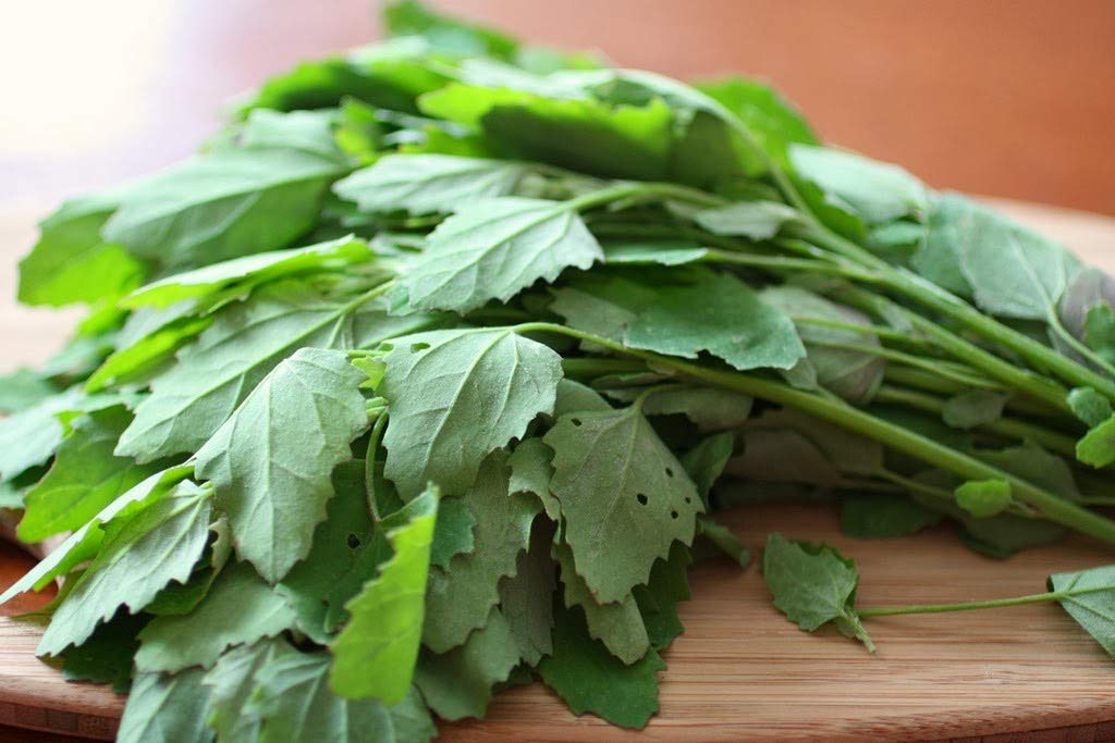 U-GROW INDIA FRESH GREEN BATHUA SEEDS (300 SEEDS/PACKET) (B092MN9SXD) Amazon Price History, Amazon Price Tracker