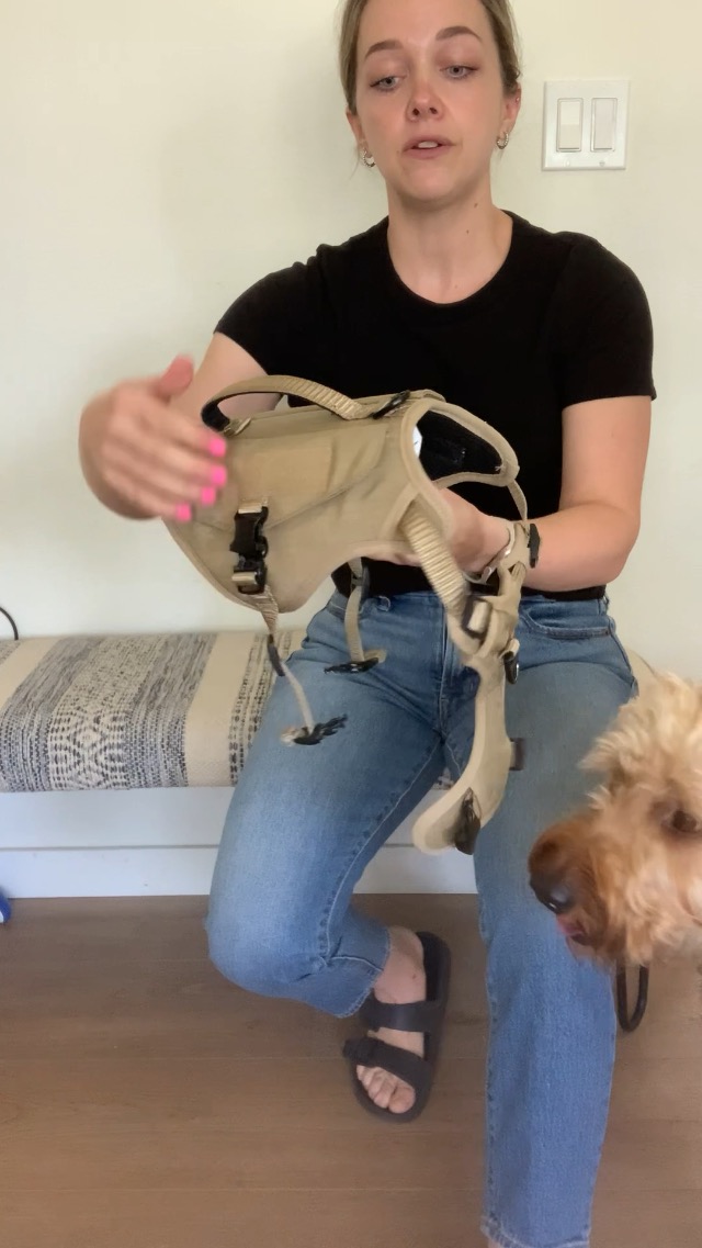 KONG Cool Top Cooling Dog Vest