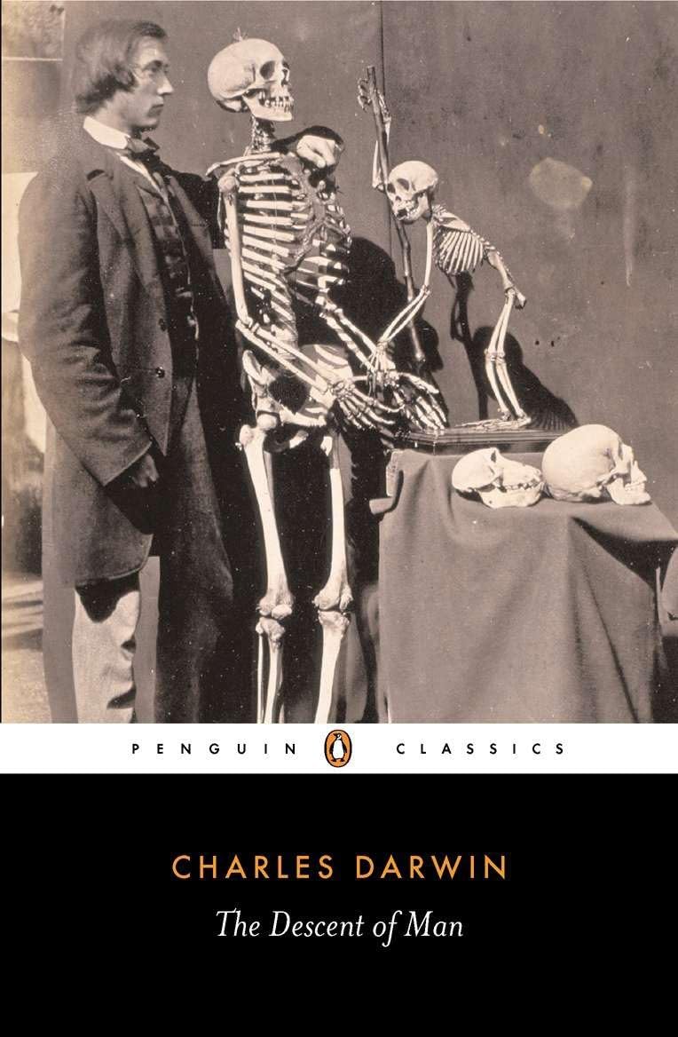 The Descent of Man by Charles Darwin (Paperback Book)